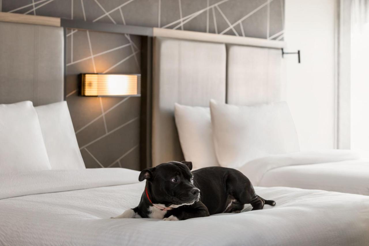 Springhill Suites By Marriott Camp Hill Bagian luar foto